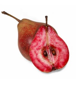 Grusza Czerwonomiąższowa