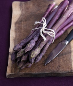 Szparag Pacific Purple w donicy