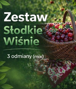 Zestaw Słodkie Wiśnie - 3 Odmiany