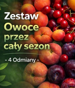 Zestaw Owoce przez cały sezon - 4 Odmiany