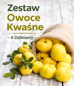 Zestaw Owoce Kwaśne - 4 Odmiany