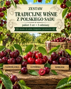 Zestaw Tradycyjne wiśnie z polskiego sadu – pakiet 3 szt