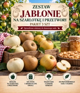 ZESTAW Jabłonie na szarlotkę i przetwory – pakiet 3 szt