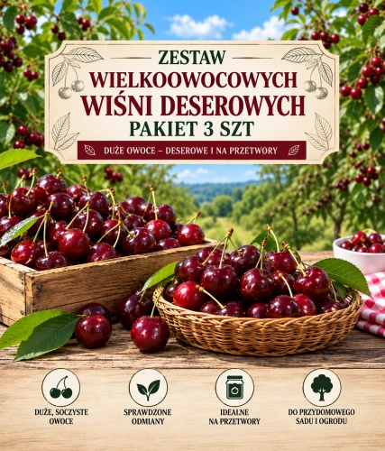 Zestaw wielkoowocowych wiśni deserowych – pakiet 3 szt