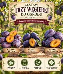 Zestaw Trzy węgierki do ogrodu – pakiet 3 szt