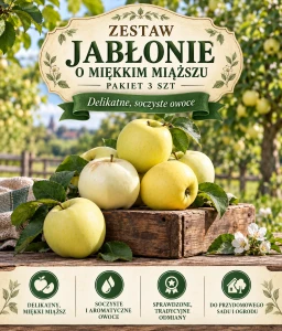 Zestaw Jabłonie o miękkim miąższu – pakiet 3 szt.