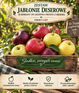 Zestaw Jabłonie deserowe – 4 odmiany do jedzenia prosto z drzewa