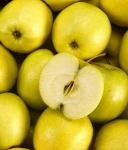 JABŁOŃ GOLDEN DELICIOUS