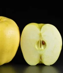 JABŁOŃ GOLDEN DELICIOUS