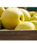JABŁOŃ GOLDEN DELICIOUS