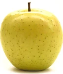JABŁOŃ GOLDEN DELICIOUS