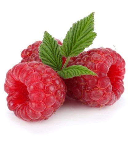 MALINA WILLIAMETTE W DONICY