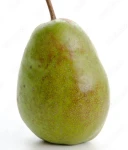 GRUSZA SZARNEZA