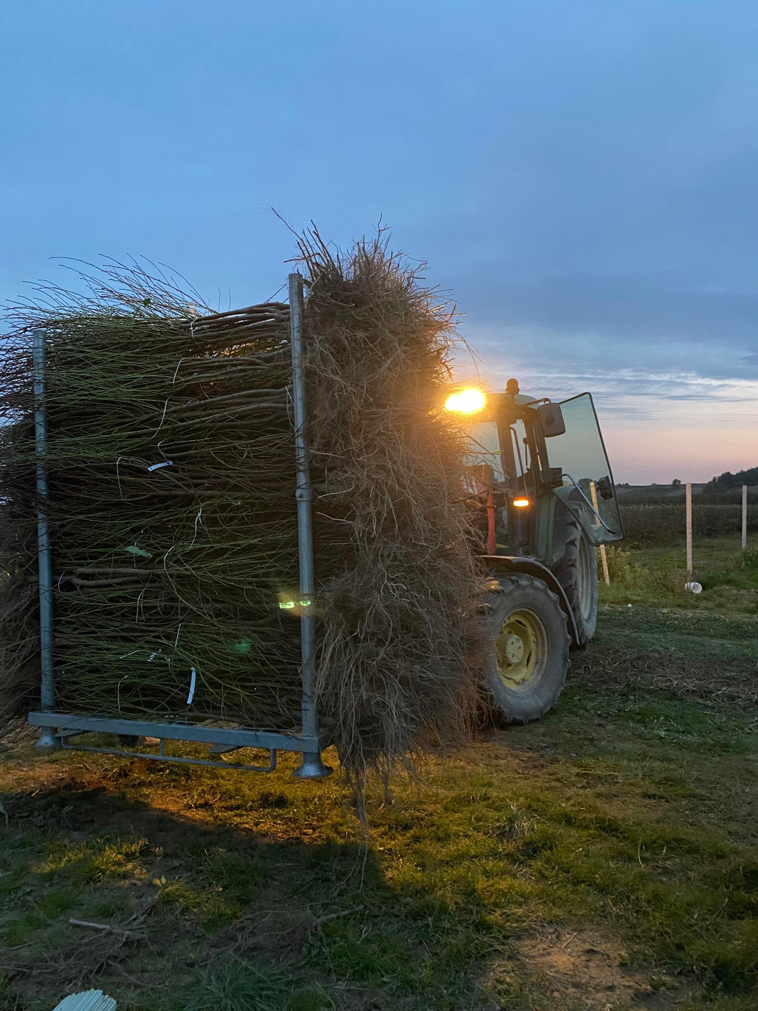 Szkółka drzewka-faworytka.pl