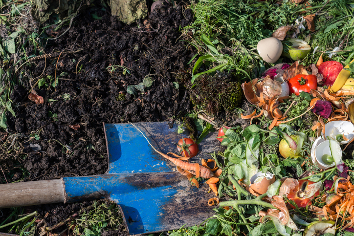 kompost ogrodowy jako naturalne wzbogacenie gleby przed sadzeniem roślin