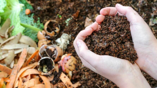 Kompostownik w ogrodzie – źródło naturalnego nawozu wiosną