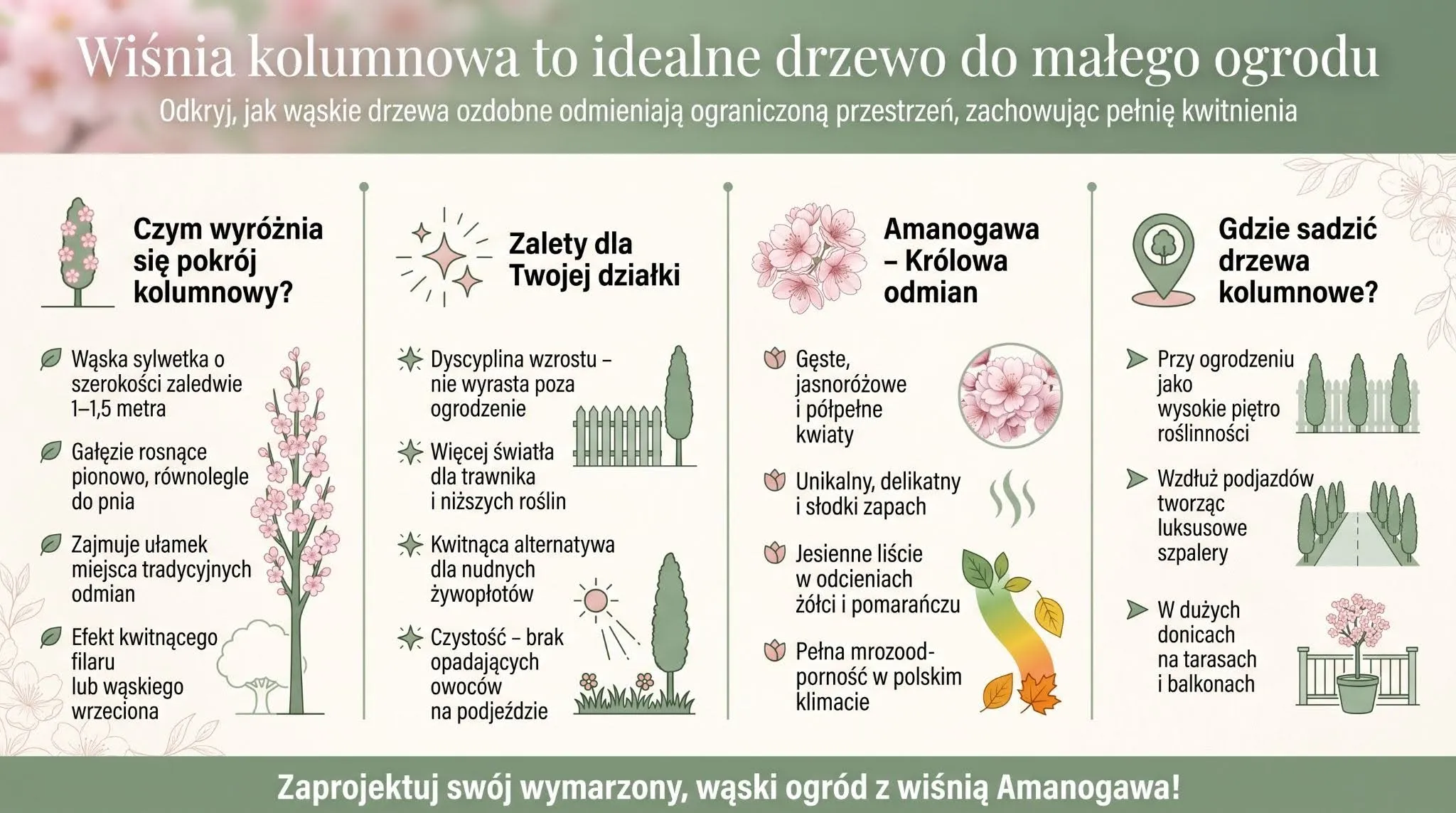 Wiśnia kolumnowa to idealne drzewo do małego ogrodu