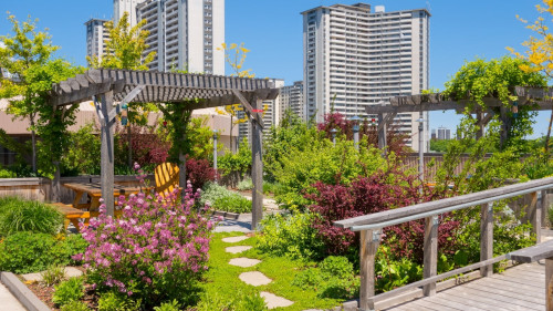 Dach na wieżowcu z bylinami, trawami ozdobnymi i drzewami