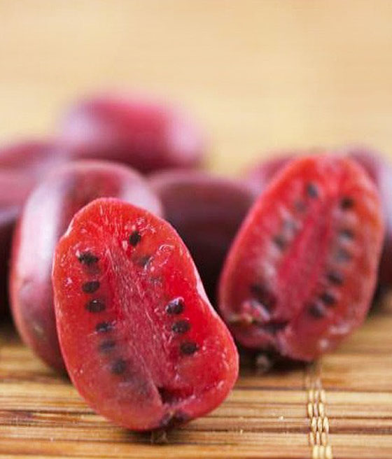 Mini kiwi Kens Red