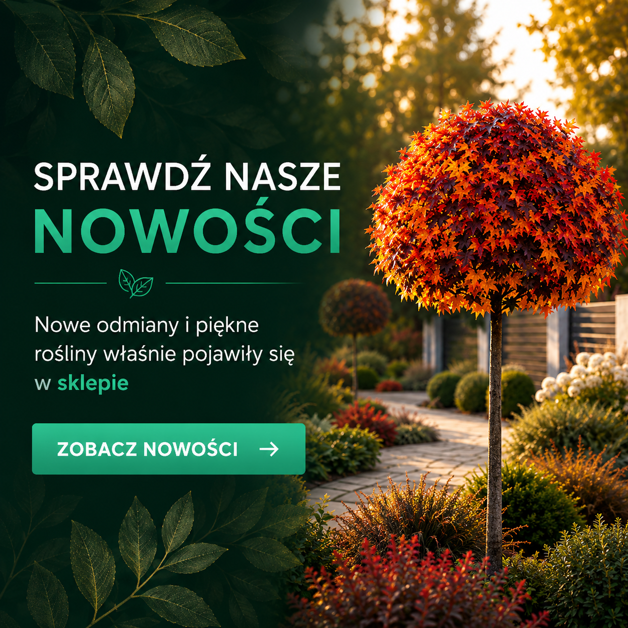 Nowości