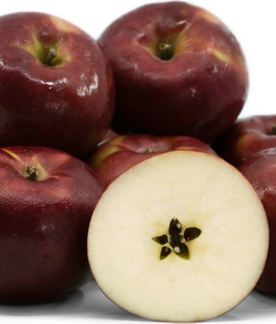 Jabłoń McIntosh (Mekintosz)