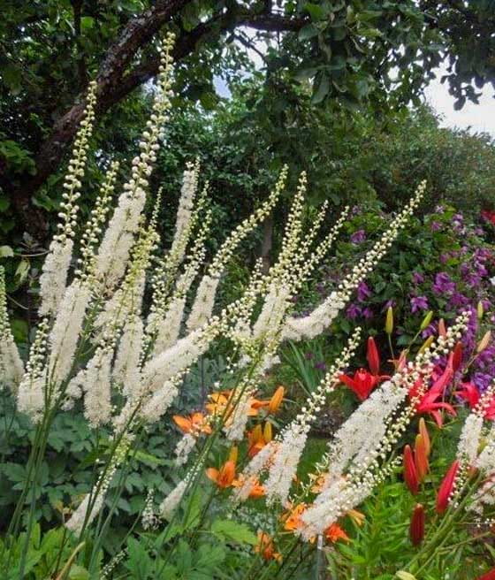 Świecznica Silver Dance