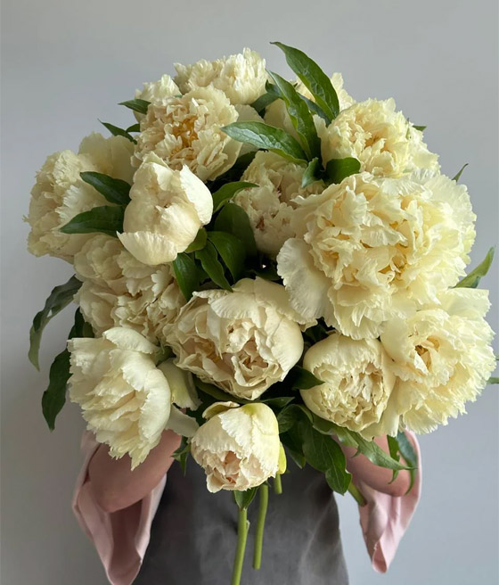 Piwonia Sunny Girl w donicy