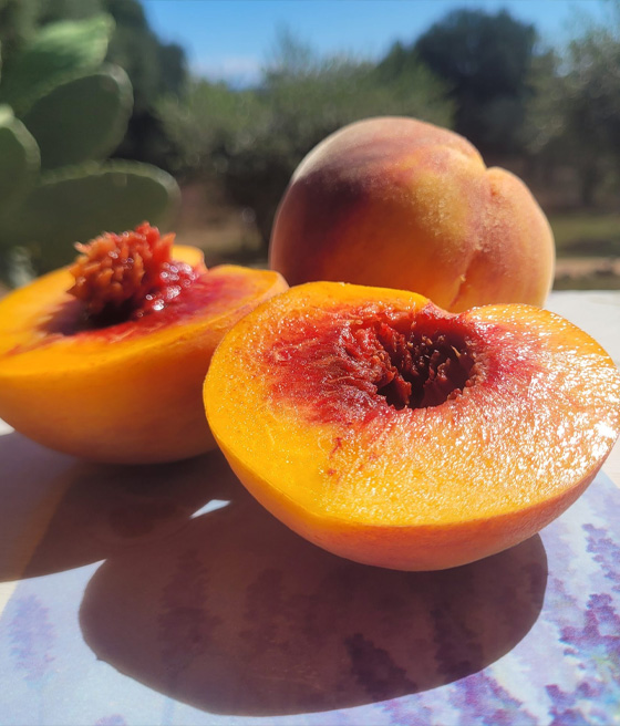 Brzoskwinia Baby Gold