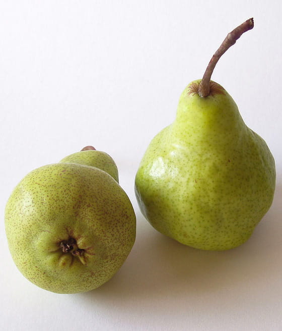 GRUSZA TRIUMF PACKHAMA