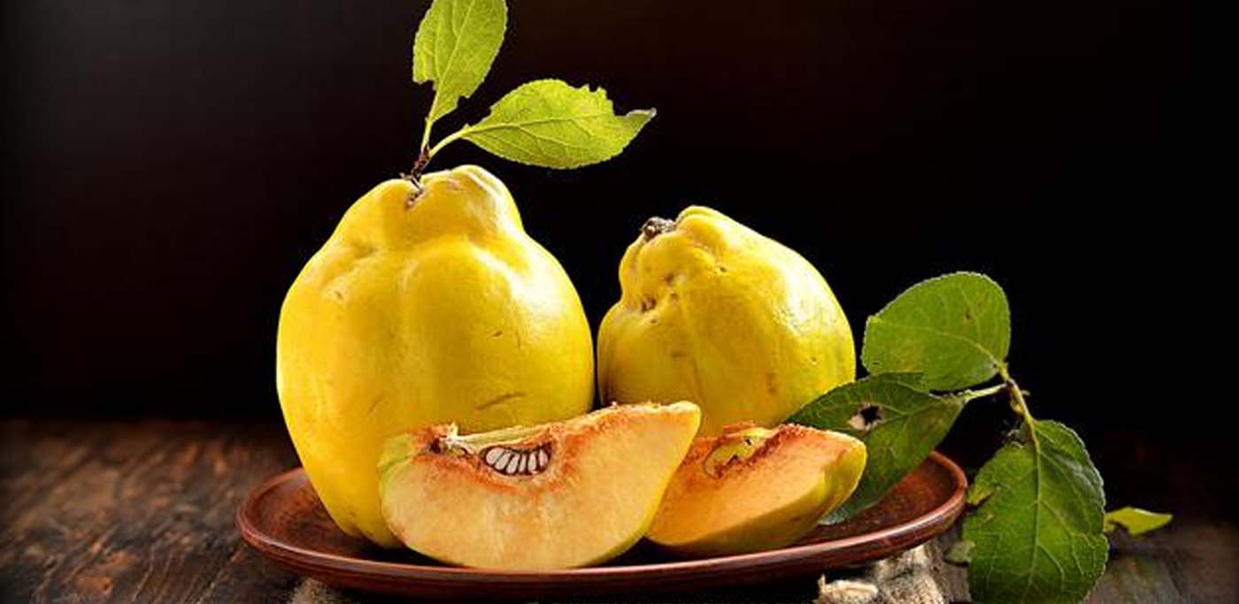 Pigwa - uprawa i cięcie