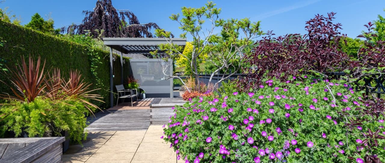 Najlepsze rośliny na zielony dach